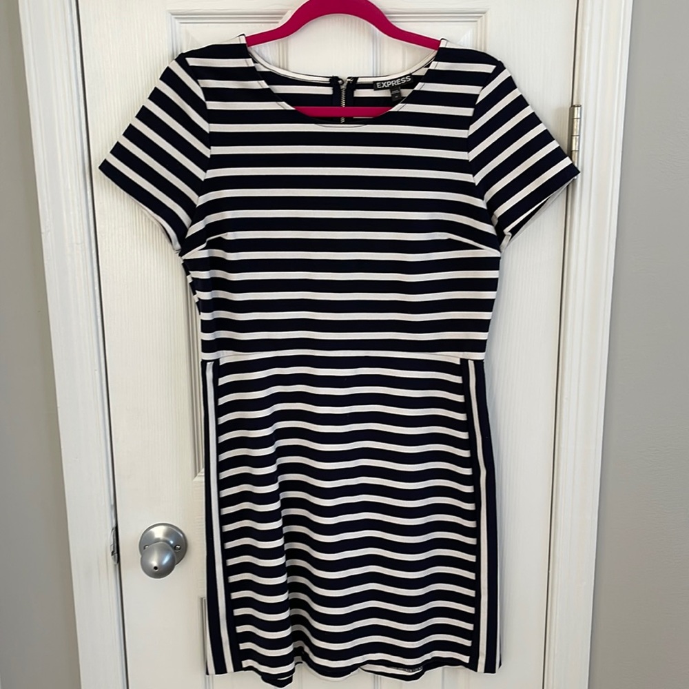 Express Women’s Dress